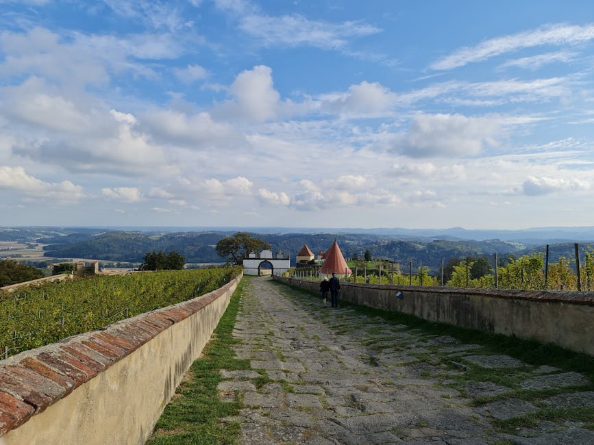 A beautiful cobblestone pathway leading to a grand castle with towers and lush vineyards under a clear blue sky.