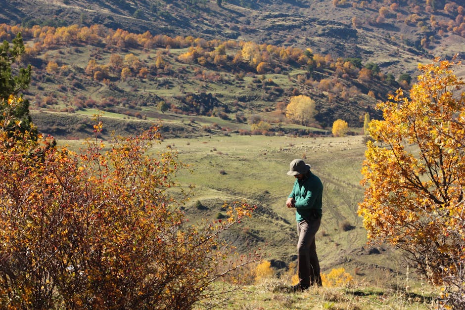 A lone hiker amid vibrant autumn foliage in a picturesque valley setting.