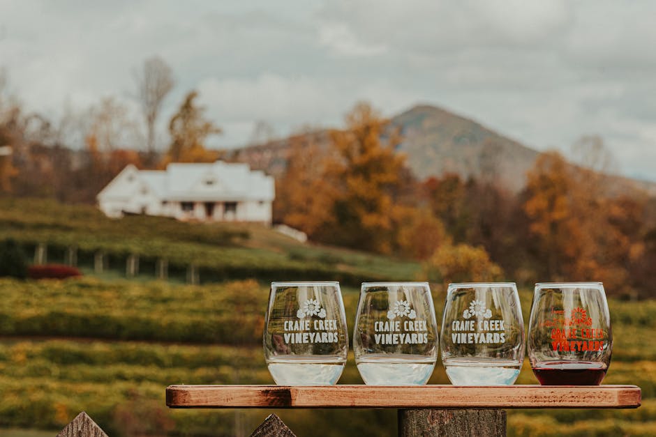 Crystal glasses of wine placed on wooden table near vineyards located in mountainous countryside against cloudy sky on autumn day