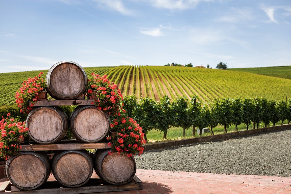A picturesque vineyard with stacked wine barrels adorned with flowers under a blue sky.
