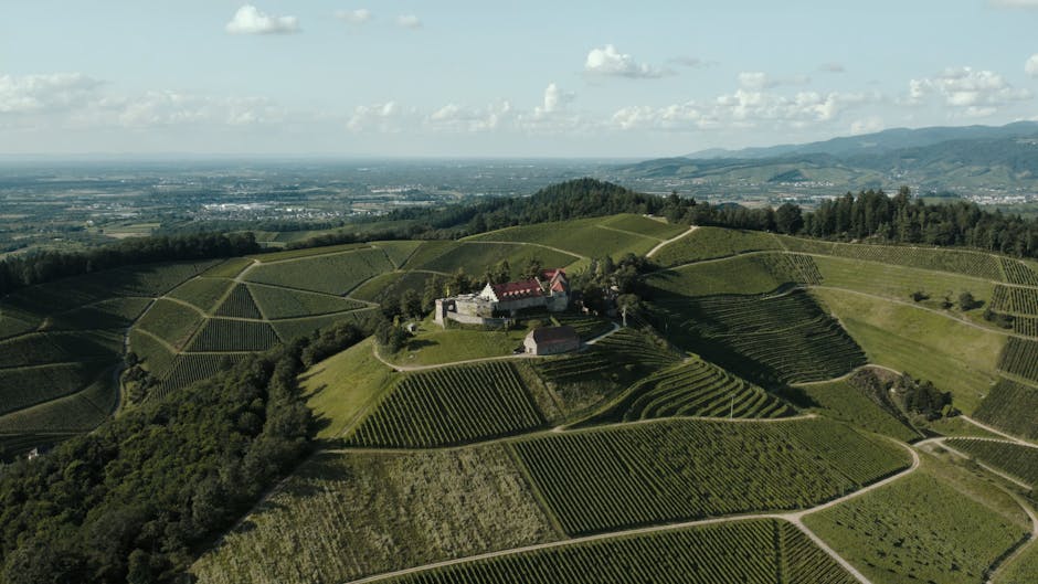 Drone shot of Schloss Staufenberg amidst lush vineyards in Offenburg, Germany.