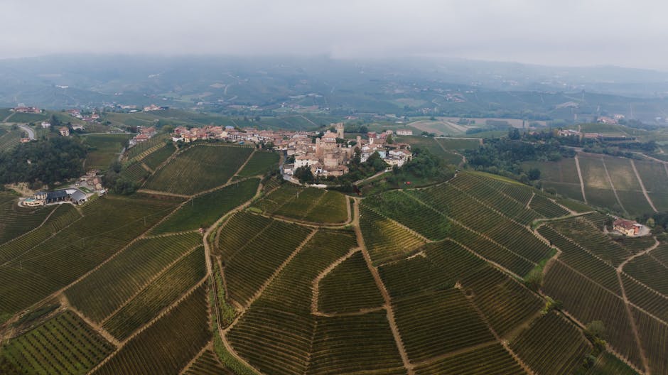 A breathtaking aerial view of vineyards and the charming village of Castiglione Falletto in Piedmont, Italy.