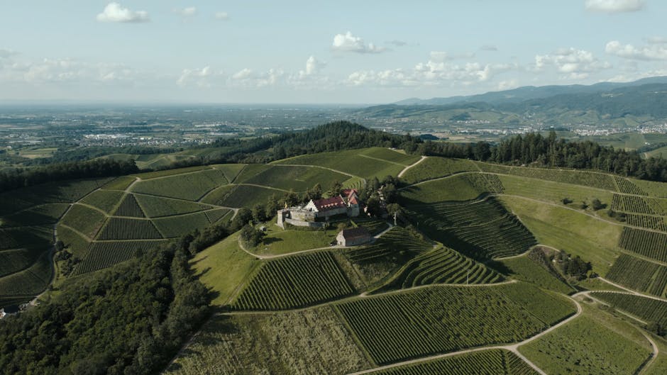 A scenic aerial view of Schloss Staufenberg and surrounding vineyards in Offenburg, Germany.